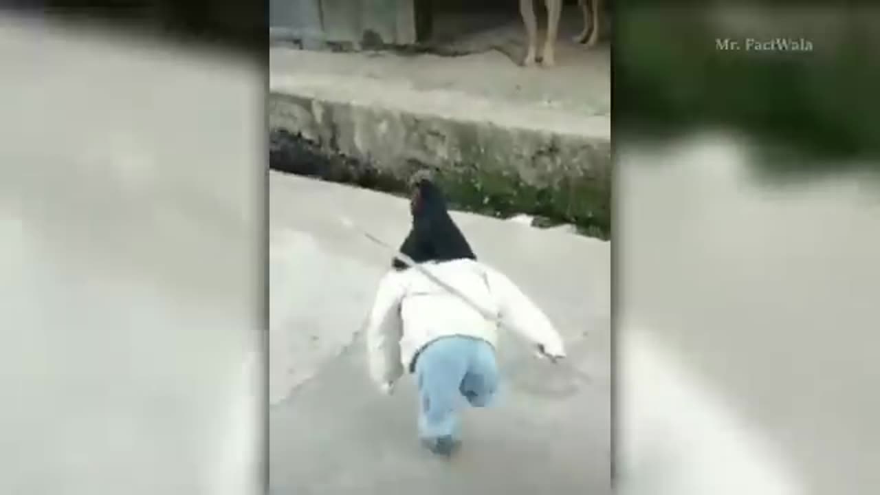 🤣😂😂😂 smart cock🤣🤣