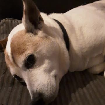 His eyes.. are CREEPY!