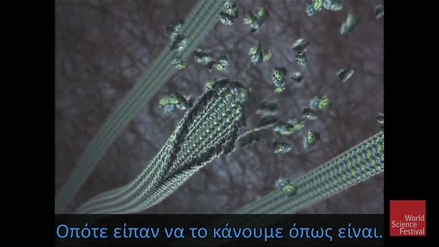 Chapter 1 ((Host - Nanoparticule)) Κεφάλαιο 1 ((Ξενιστής - Νανοσωματίδια))