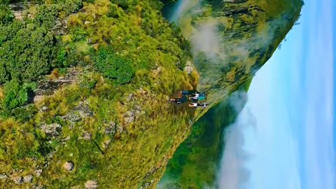 A Journey Through Nature: Forests and Wildlife Wonder