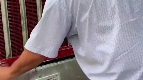 Tennessee Tater Shows You How to Get the Bugs Off with VizABull