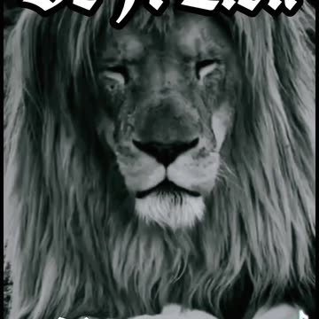 #NightShift | Be A Lion Patriot 🇺🇸