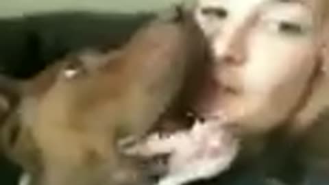 Funny cat dog animals videos (17)_