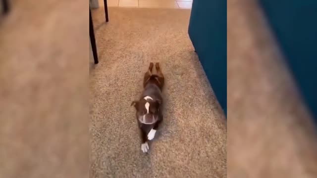 It's a lovely way to walk