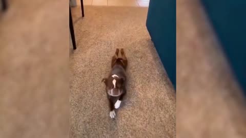 It's a lovely way to walk