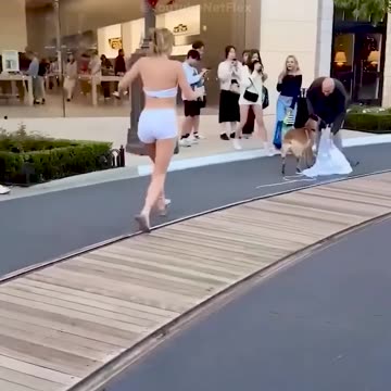 Big Fails Funny Video