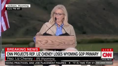 RINO Cheney Compares Herself To General Grant