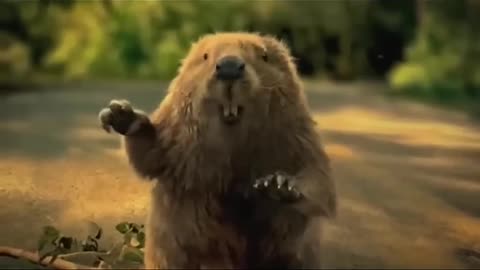 A beaver saved a man from death😱