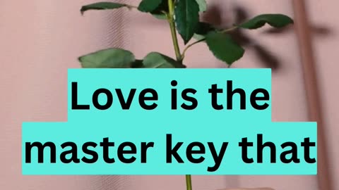 love quotes. psychology of love