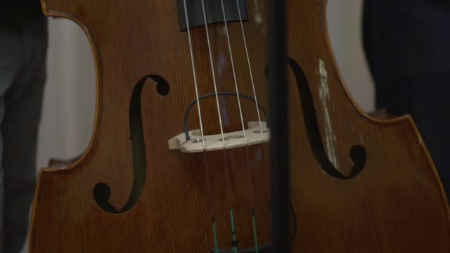 music | double bass | raw 3