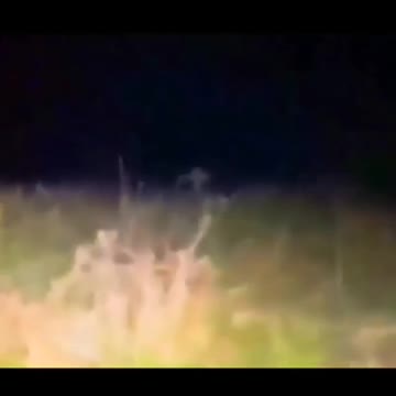 will always be blurred 3 sem9 curtidasResponder