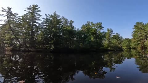 Great View