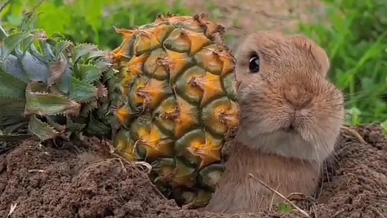 Enjoying with strawberry .