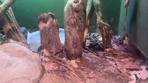 #LibertyScienceCenter 8-18-24