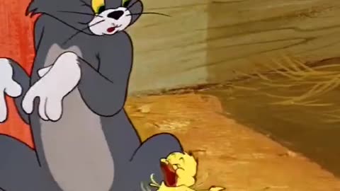 The funnyer