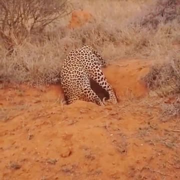 Very very emotional video