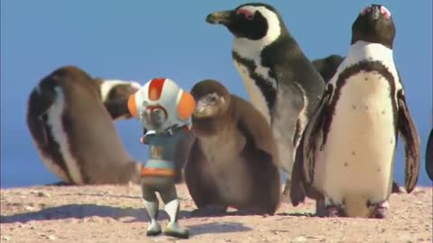 Penguins Funny Animal Video for Kids