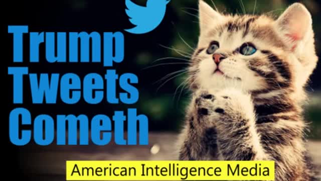 Valerie Jarrett and Roseanne Barr May 30 2018