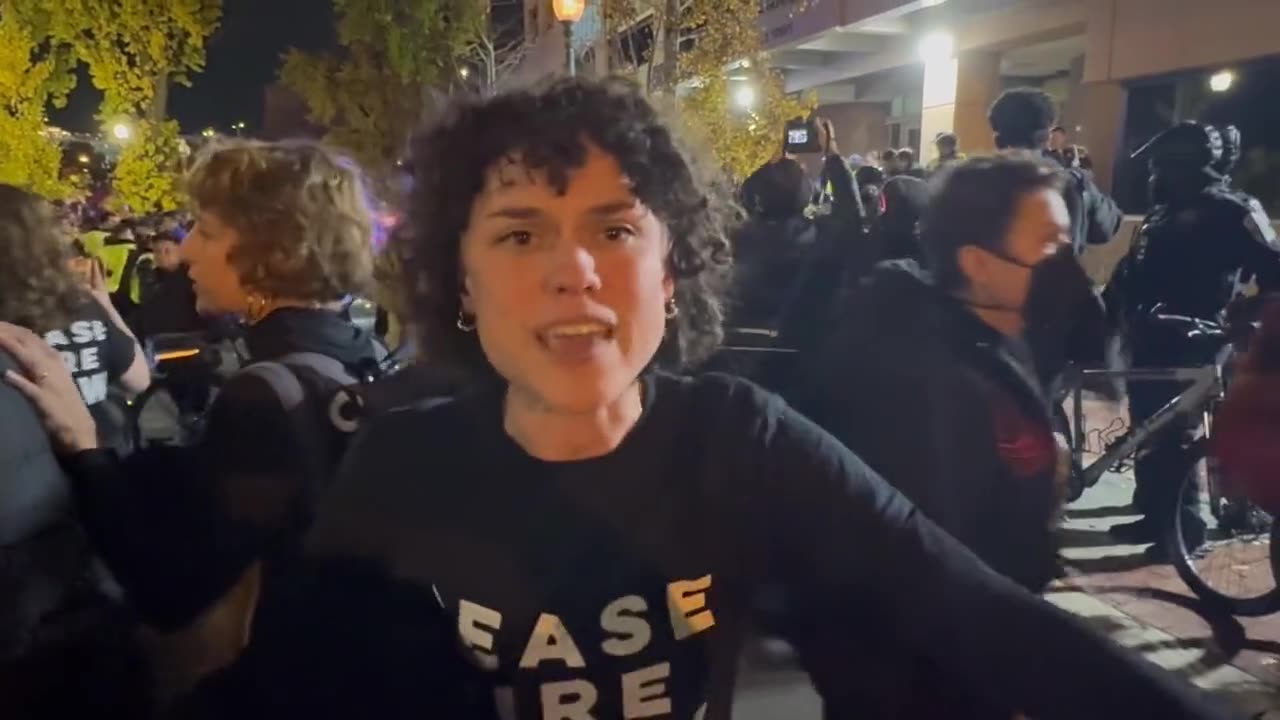 Far-left pro-Palestine rioter are fighting with police as they attempt to breach DNC headquarters