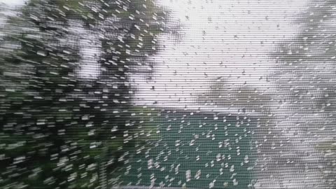 Brutal wind and rain inside hurricane milton live