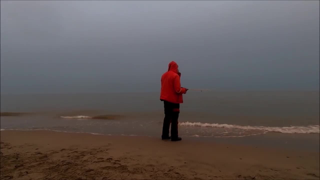 Ψάρεμα : όταν τα ψάρια κυνηγάνε γόνο...