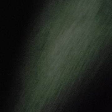 Ripleys Aquarium of the Smokey Mountains 2021