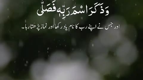 Quran