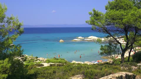 People Taking a Dip in the Beach