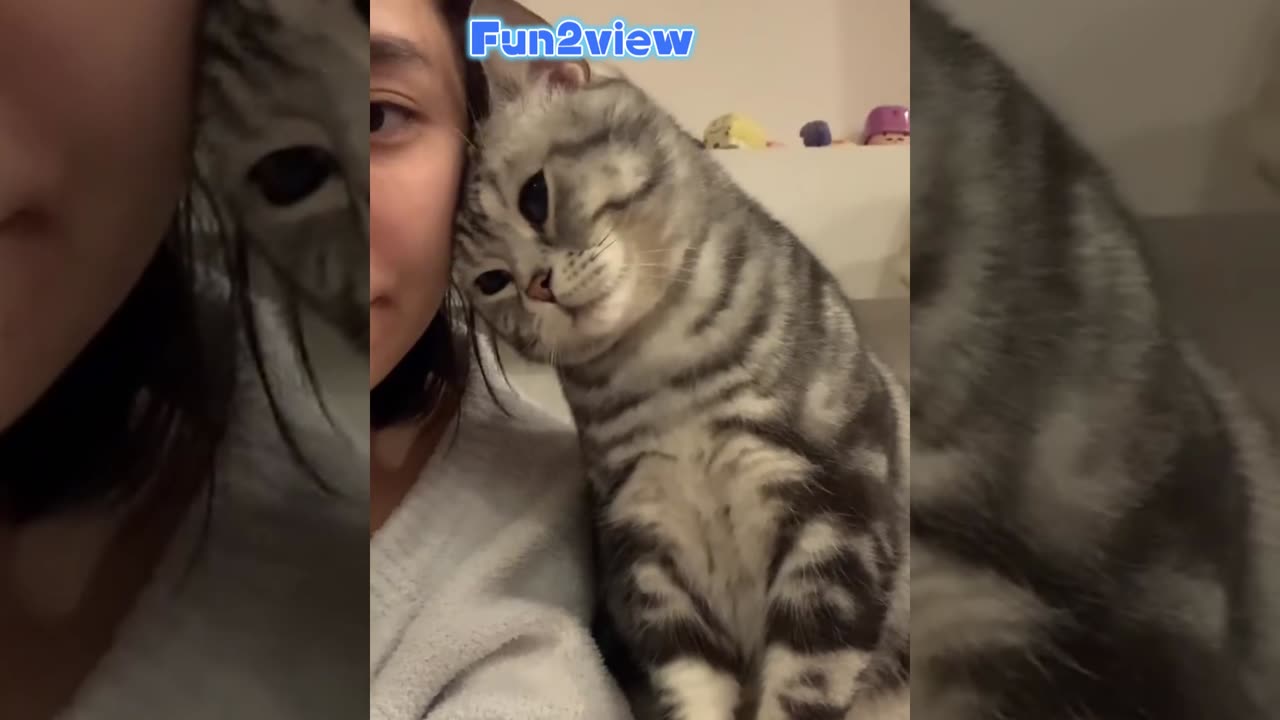 Emotional cat!