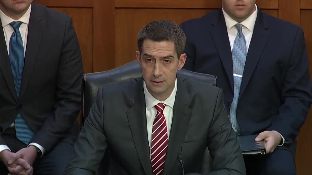 Sen. Tom Cotton: "We are witnessing a breakdown of society. There are many Americans