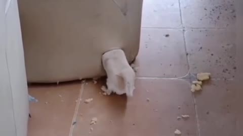Ідеальна схованка.