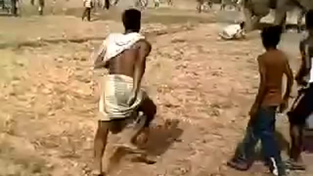 Elephant attack in Bankura [SiGator]