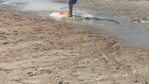 Blue shorts rides yellow skim board on beach and falls down