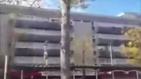 Ever Seen A Tree Grow Through A Car?