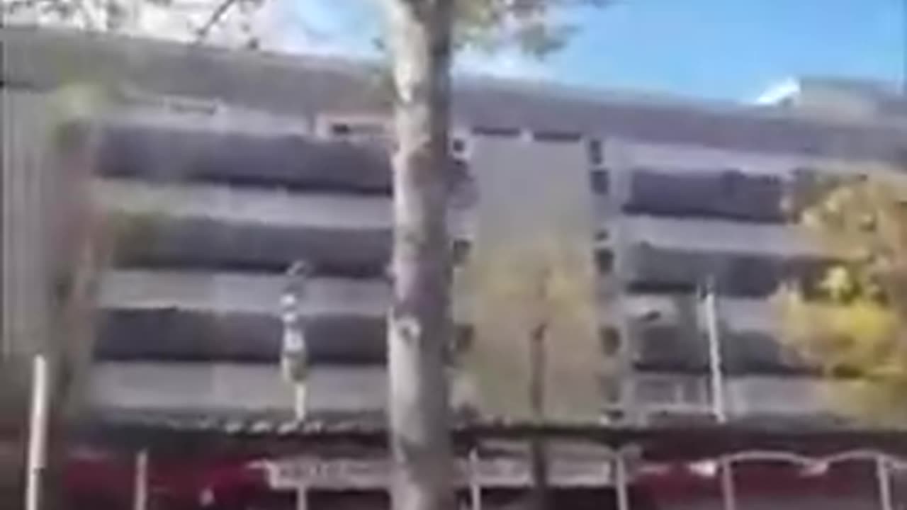 Ever Seen A Tree Grow Through A Car?
