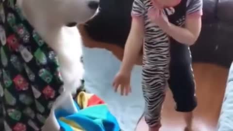 Children respect dogs