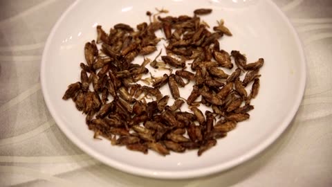 Fancy crickets on salad? Singapore approves insects as food