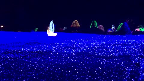 light festival in park