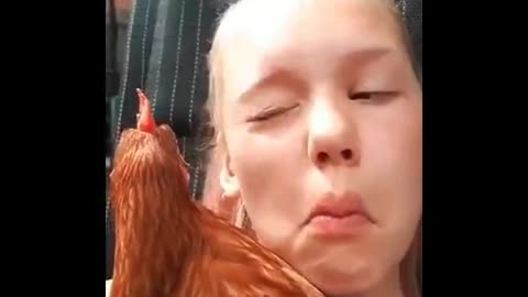 Chicken reciprocates girl