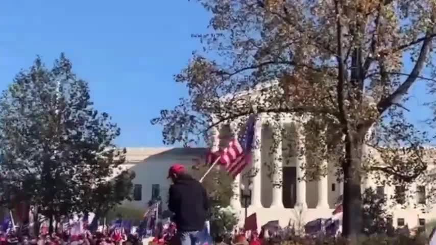 We all need to Fight for Trump