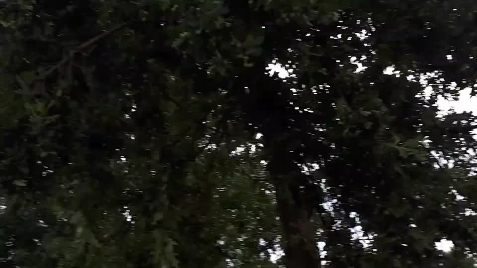 Himmel in Berlin am 29.07.2022 um 7:55 Uhr