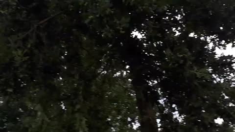 Himmel in Berlin am 29.07.2022 um 7:55 Uhr