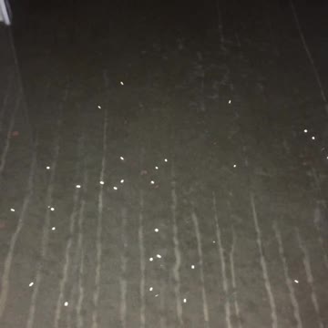 guess what this is ??