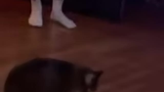 Well done socks!