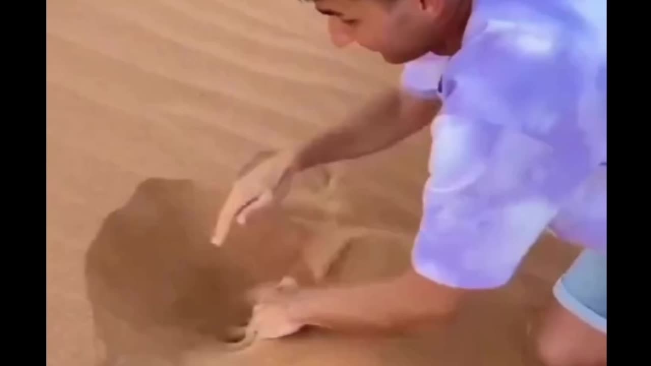 Try Watch Very Closely When You Can