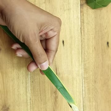 Very unique crafts and fun time with coconut leaves #craft #shorts #reels #coconut #leafcraft