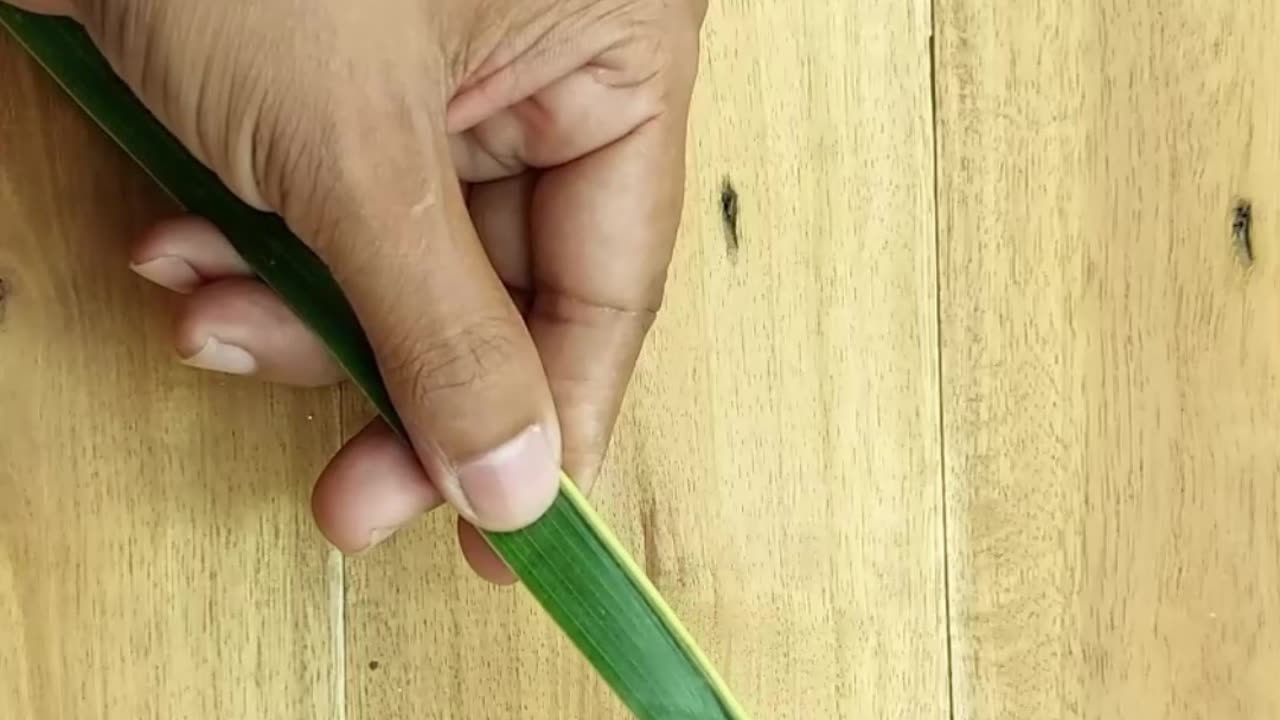 Very unique crafts and fun time with coconut leaves #craft #shorts #reels #coconut #leafcraft