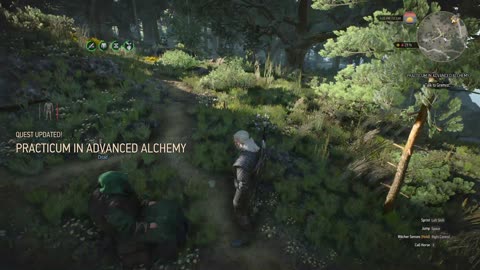 The Witcher 3 Practicum in advanced alchemy intro