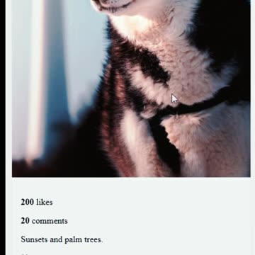 Instagram Profile Page Template EJS #ejs #webdevelopment