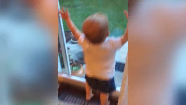 A Tot Girl Walks Into A Patio Door And Falls Down